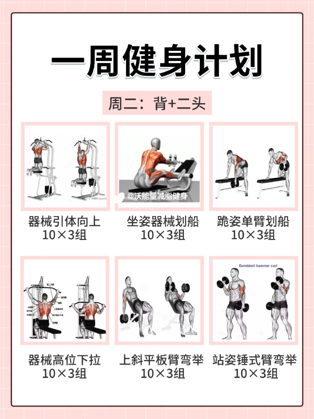 一周科学健身计划(适合上班族)的简单介绍 一周科学健身计划(适合上班族)的简单介绍